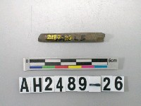 藏品(磨製石針)的圖片